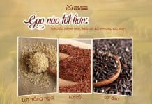 GẠO NÀO TỐT HƠN: GẠO LỨC TRẮNG NGÀ, GẠO LỨC ĐỎ HAY GẠO LỨC ĐEN?